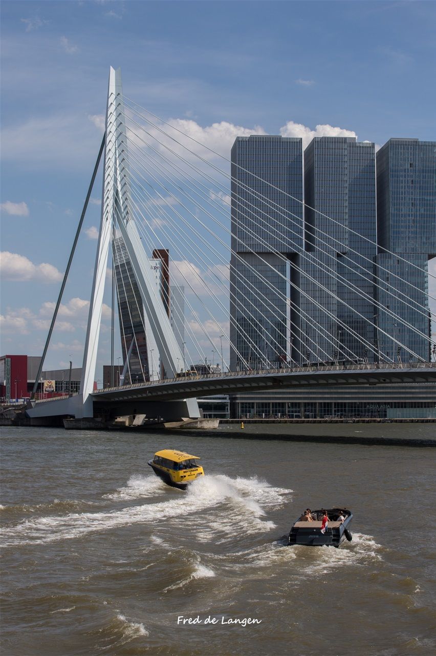 Erasmusbrug Rotterdam 2 juni 2019