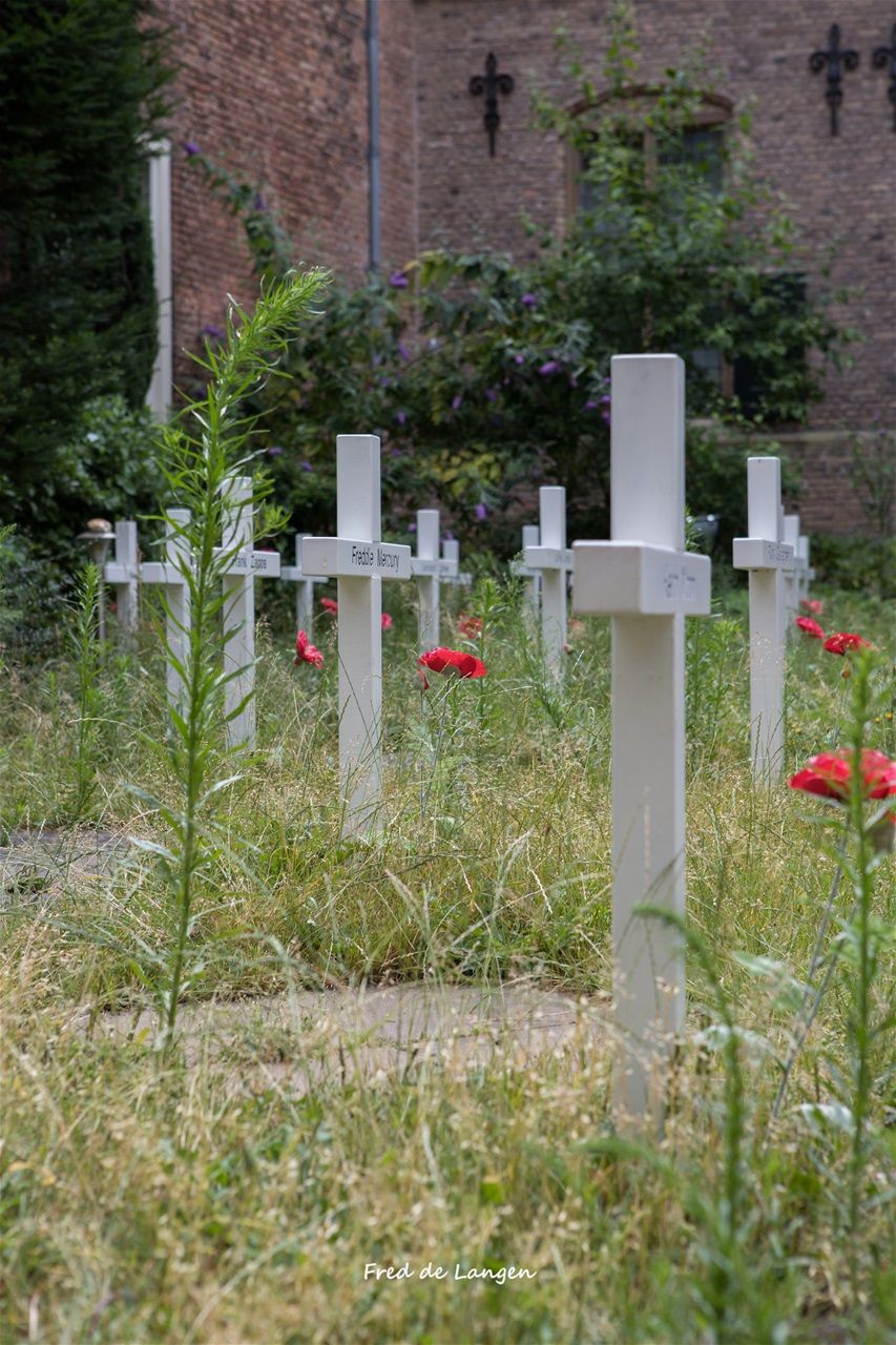 Eerbetoon aan overleden popsterren in Delft
