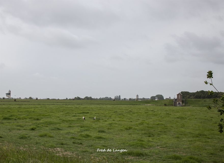 Den Akker, polder tussen Amsterdam Rijnkanaal, Waal en Echteld.